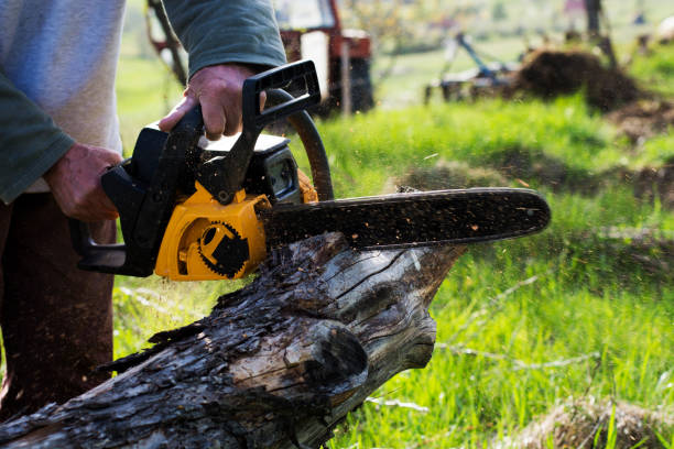 Best Firewood Processing and Delivery  in Merlin, OR